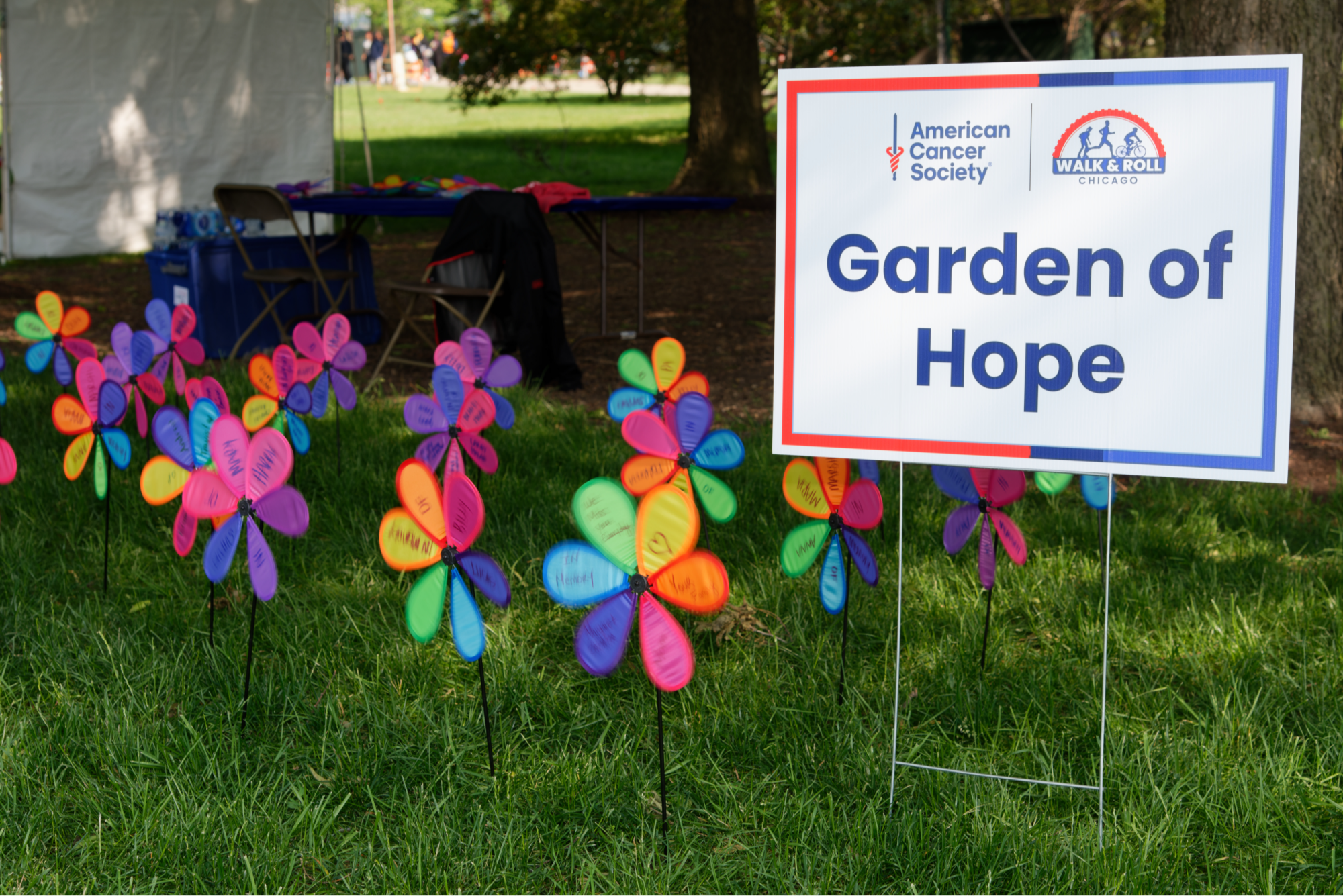 Card background image