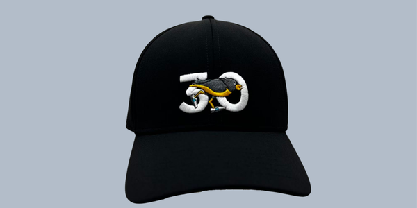 30th Anniversary Hat