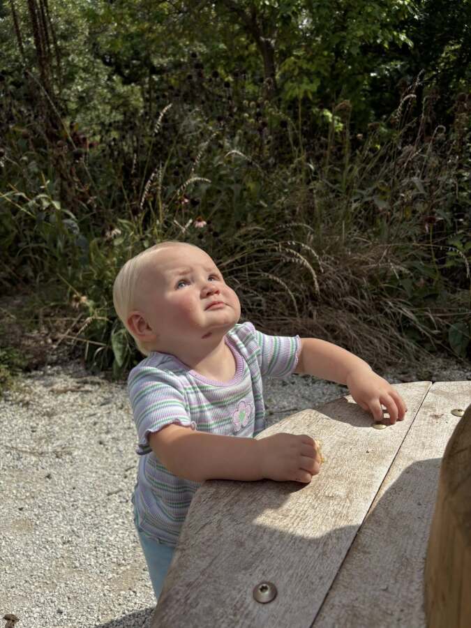 Slideshow Image