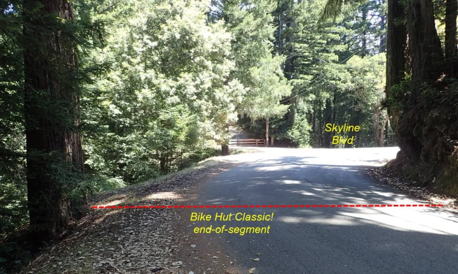 Card background image