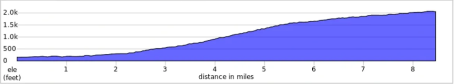 Card background image