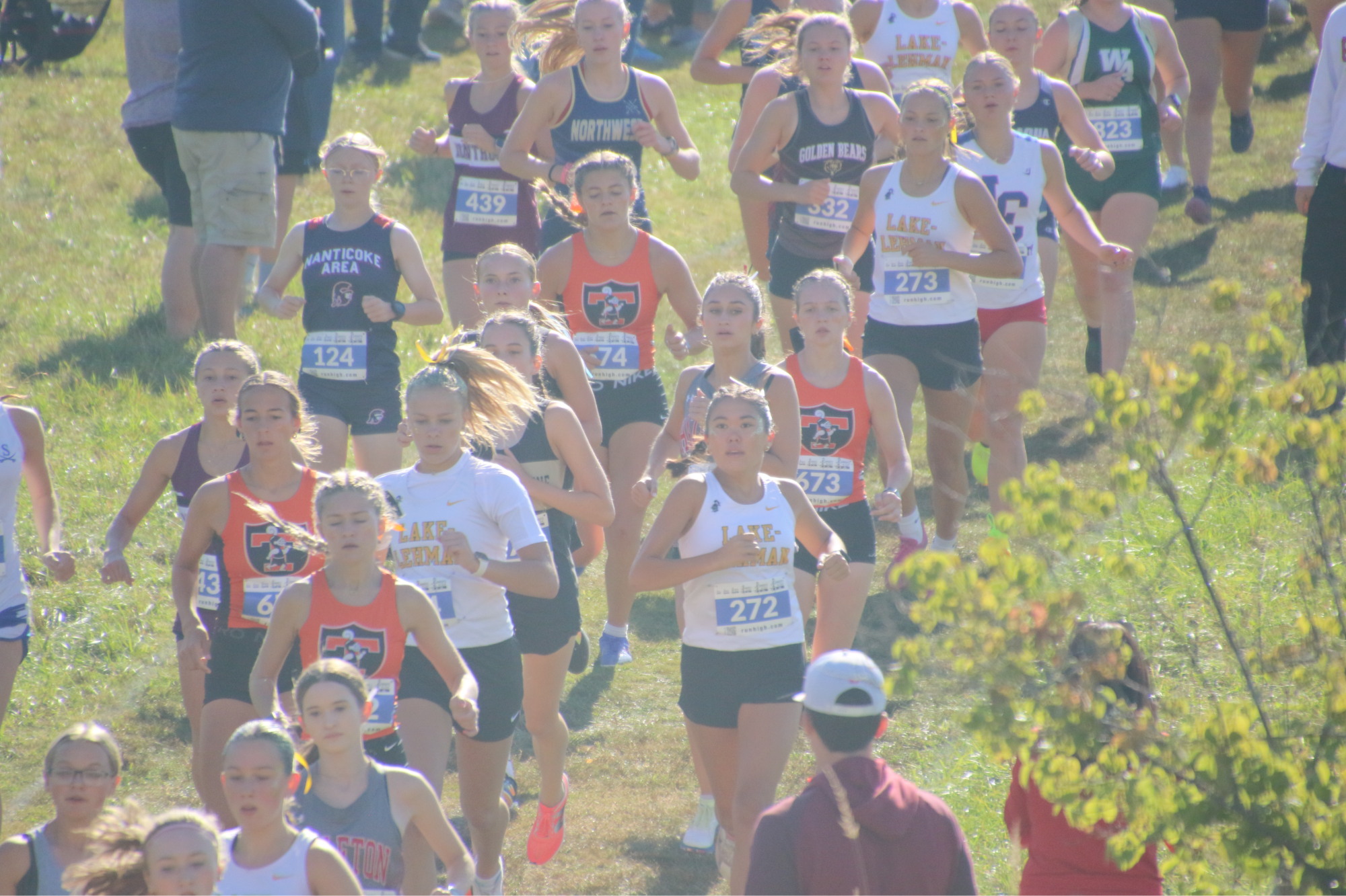 Card background image