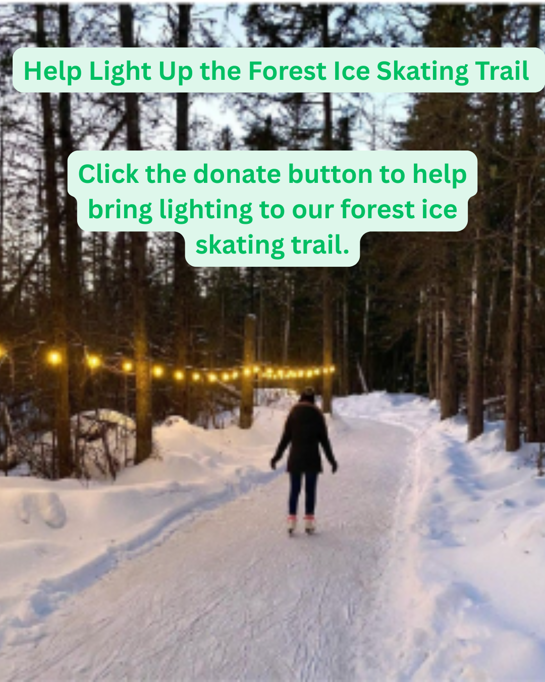 Forest Ice Skating