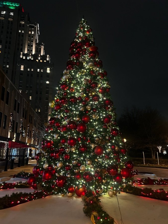 Slideshow Image