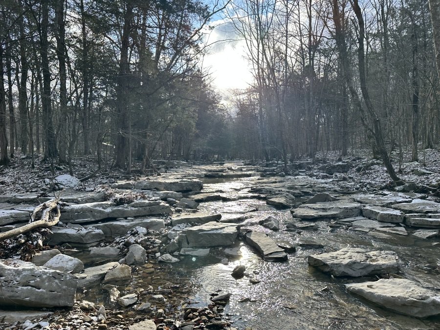Slideshow Image