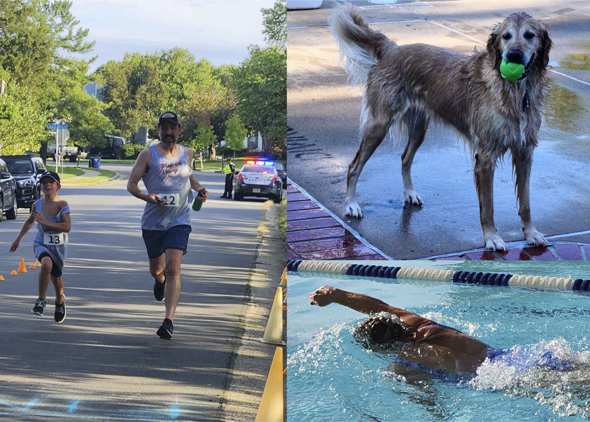 Runners, dogs, and swimmer