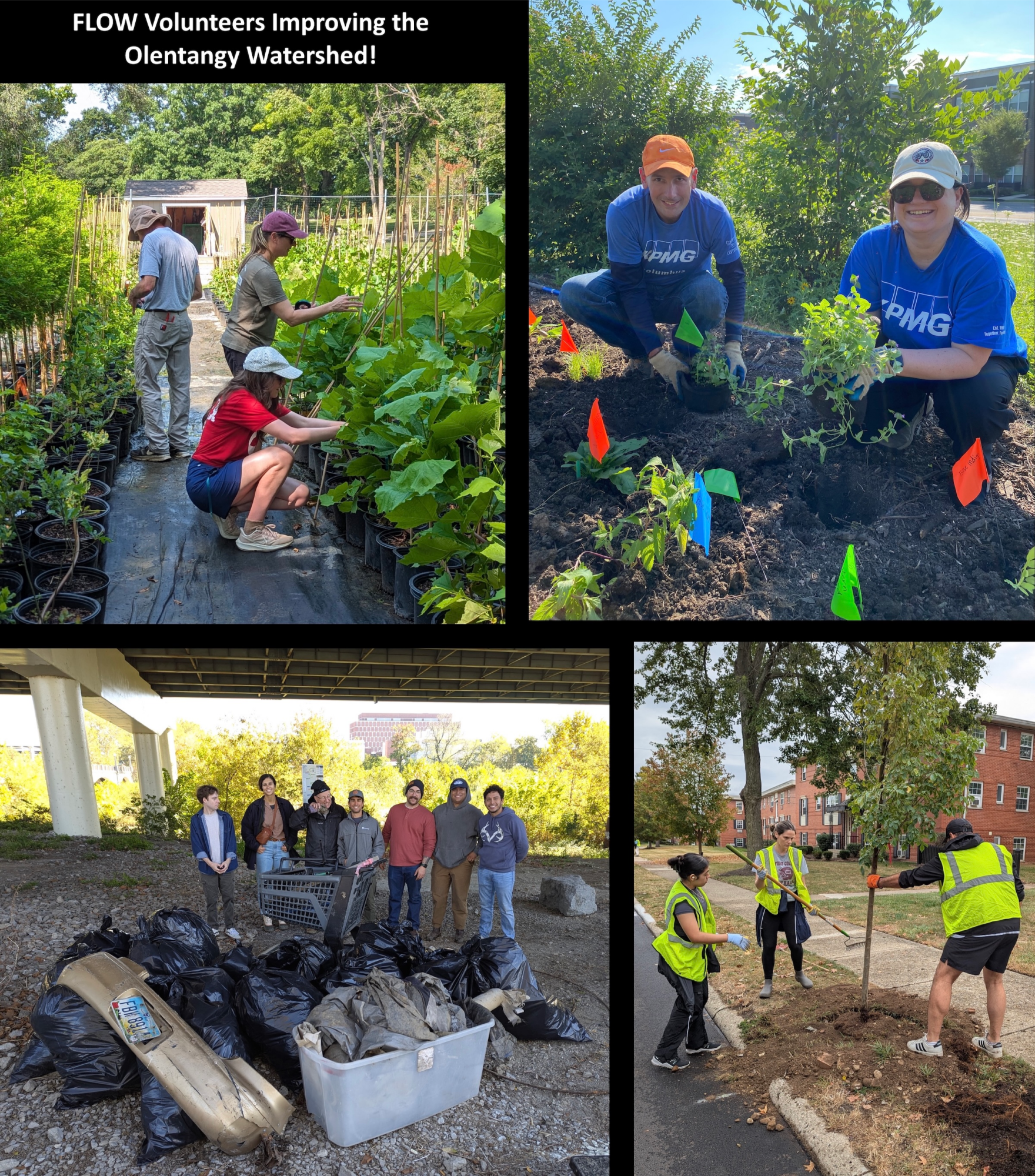 FLOW Volunteers Improving the Watershed