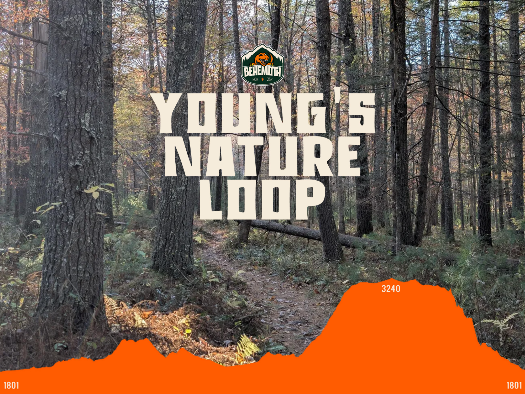 Young's Nature Loop Elevation Profile
