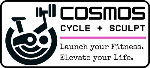Cosmos Cycle and Sculpt