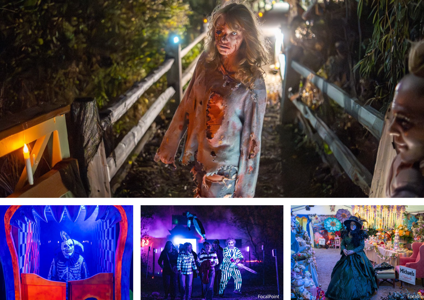 Haunted Trail 1