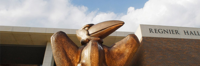 bronze jayhawk