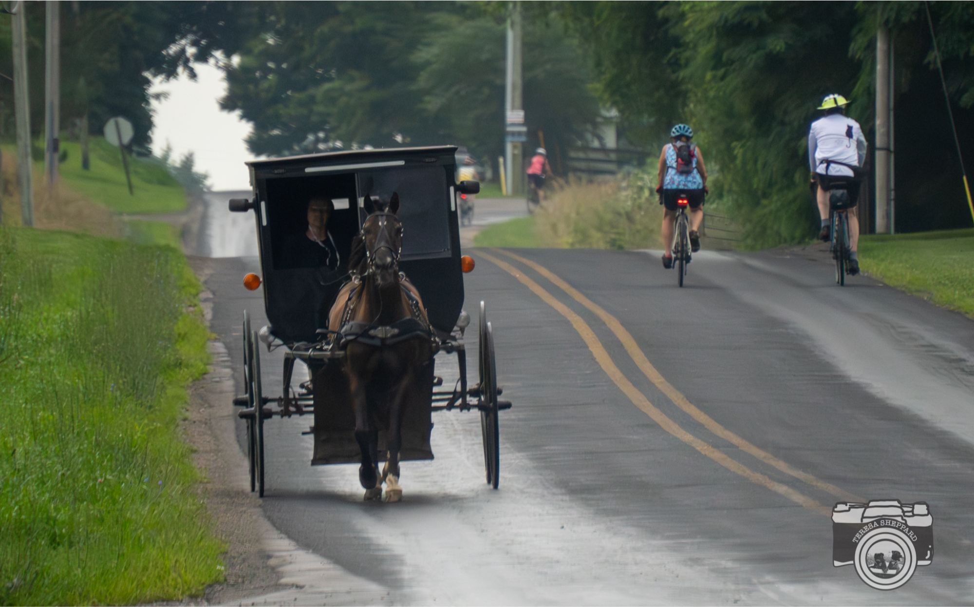 Amish horse and buggy with cyclists riding by
