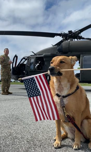 K9 OCR